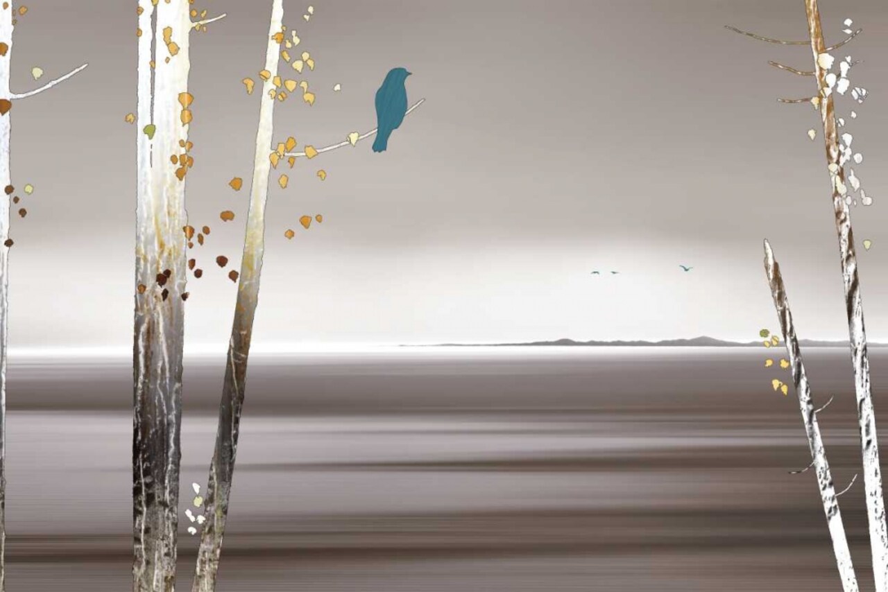 Time Passes Poster Print by Marvin Pelkey - Item # VARPDX16609